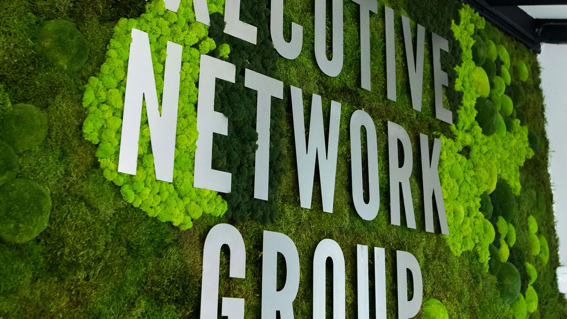 Executive Network Group
